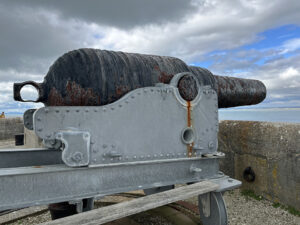 Needles Battery Cannon