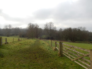 Pulborough Brooks view